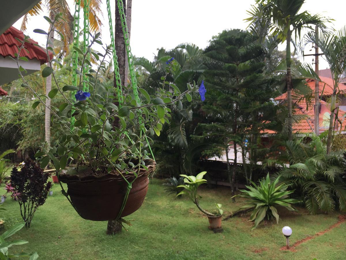 Divine Bliss Beach Resort Varkala Εξωτερικό φωτογραφία