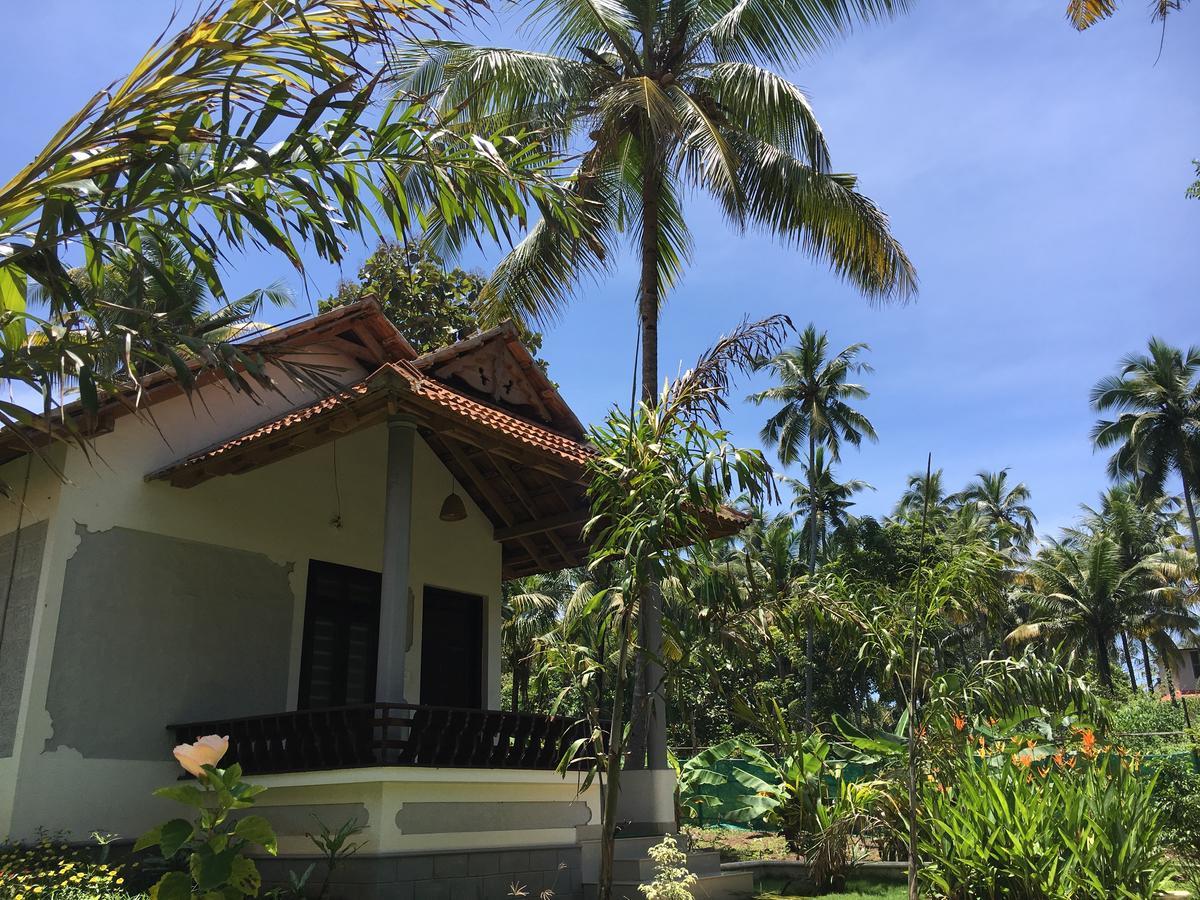 Divine Bliss Beach Resort Varkala Εξωτερικό φωτογραφία